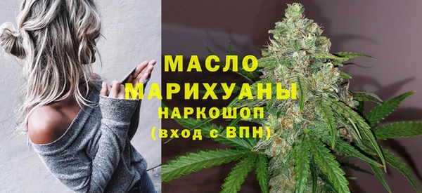твердый Инта