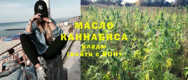 твердый Инта