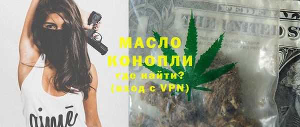 твердый Инта