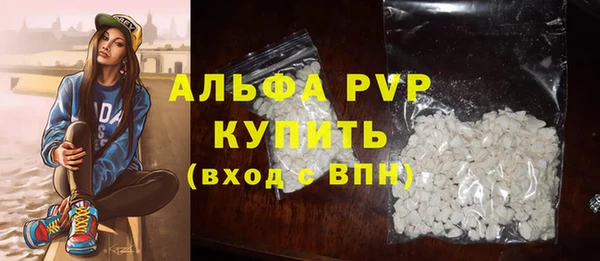 твердый Инта