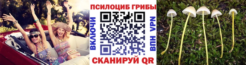 Галлюциногенные грибы GOLDEN TEACHER  Купить где  Среднеколымск 